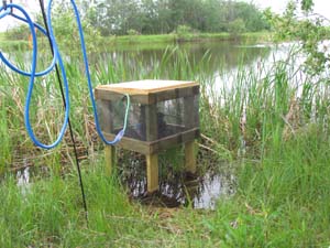 a wooden compressor shelter with screens